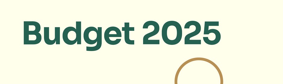 Grafik til budget 2025